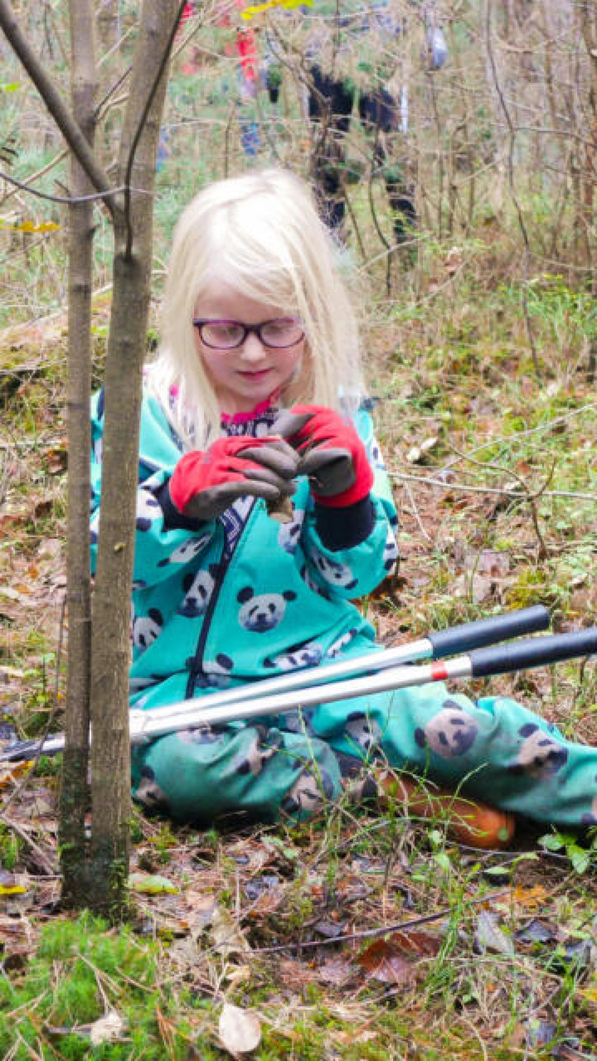 Volunteer Nature Restoration in Sellingen